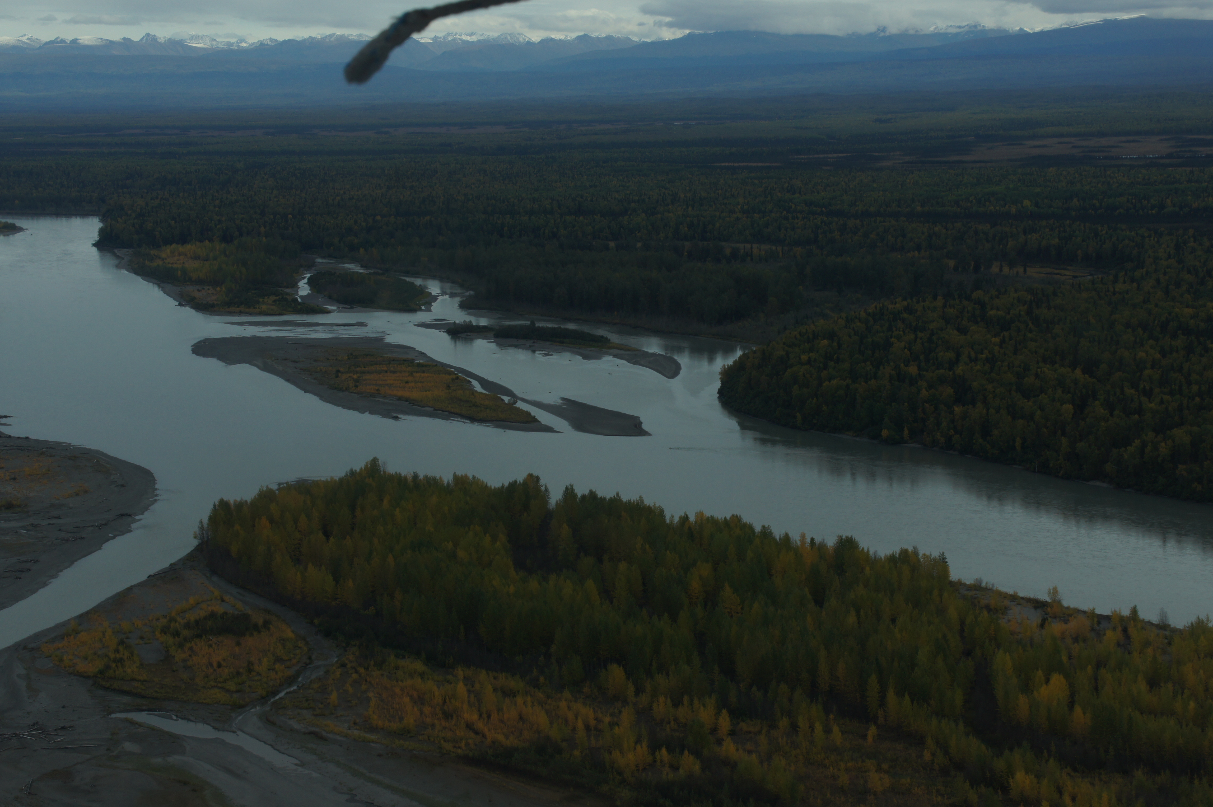 Click to return to the thumbnail index